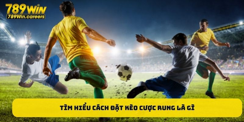 Tìm hiểu cách đặt kèo cược rung là gì