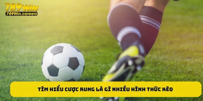 Khi tìm hiểu cược rung là gì sẽ bắt gặp nhiều hình thức của kèo này